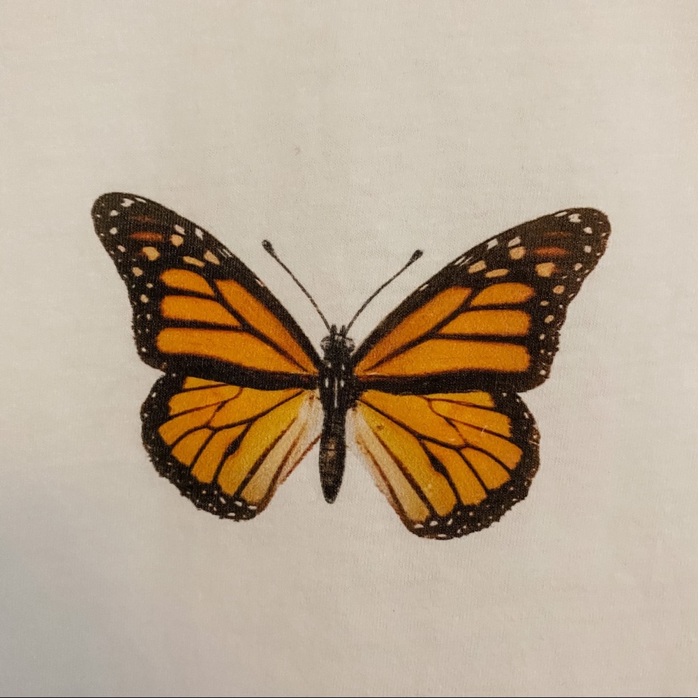 Minimalist Monarch Butterfly Graphic Tee T-Shirt - Picture 6 of 7